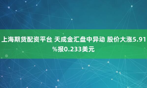 上海期货配资平台 天成金汇盘中异动 股价大涨5.91%报0.233美元