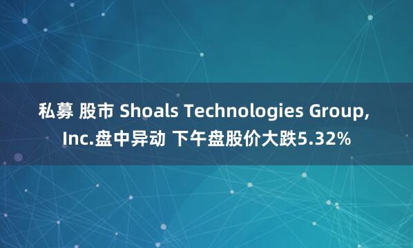 私募 股市 Shoals Technologies Group, Inc.盘中异动 下午盘股价大跌5.32%
